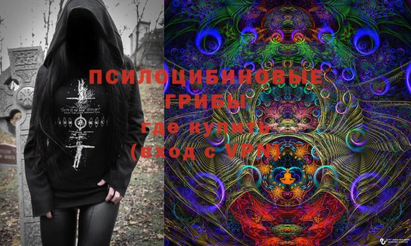 гашик Волосово