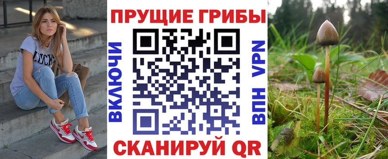 Псилоцибиновые грибы MAGIC MUSHROOMS Славянск-на-Кубани