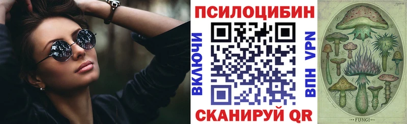 мориарти Telegram  Славянск-на-Кубани  Псилоцибиновые грибы мухоморы  кракен tor 